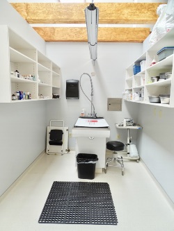 Our Treatment Area- where the action happens!