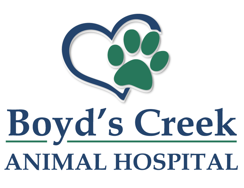 Boyd's Creek Logo - Navigate Home